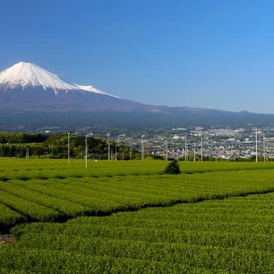 A trip to enjoy subsoil water and nature behind Mt. Fuji