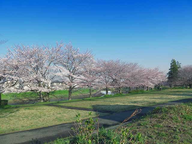 Arakawa Riverbank