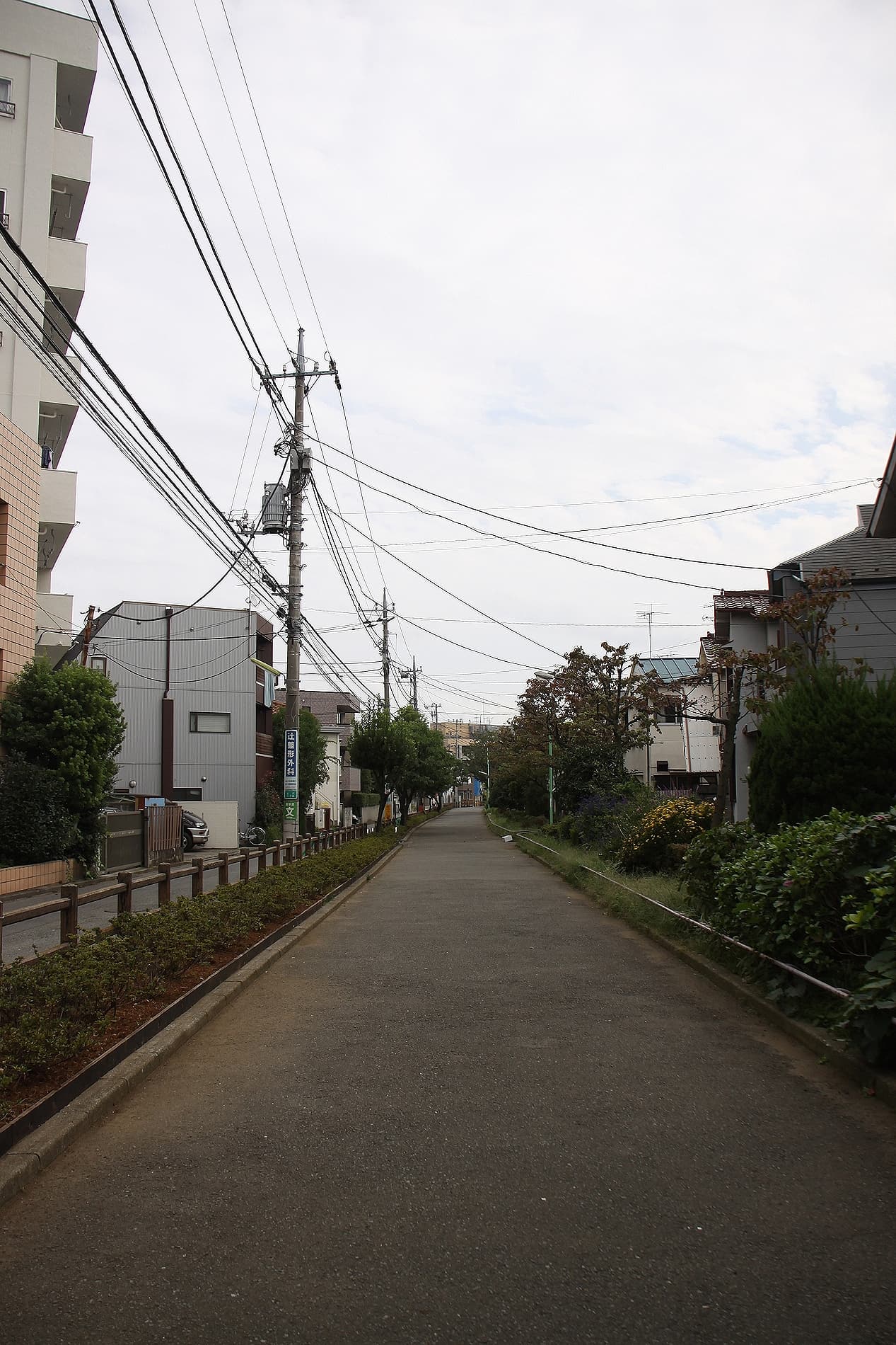Tamagawa Josui