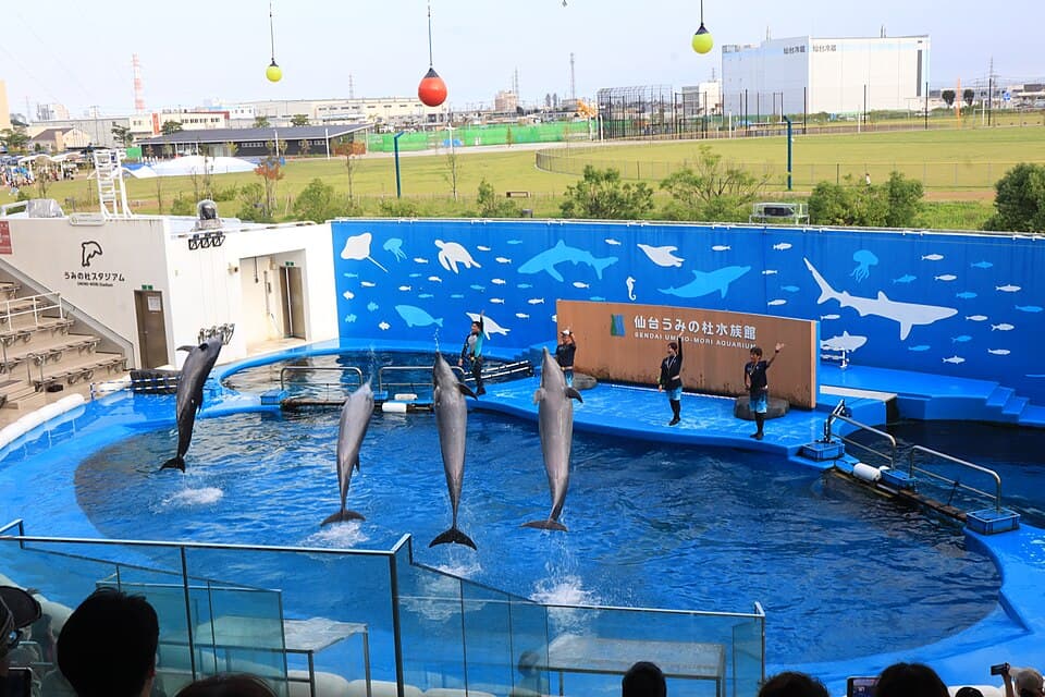 Sendai Umino-Mori Aquarium